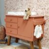 WhatsApp Image 2025-03-24 at 10.29.05 (1) Vintage unieke commode babykamer terracotta